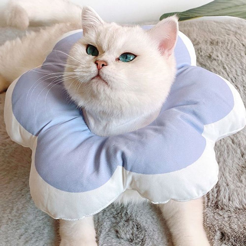 힐링타임 강아지 넥카라 애견 목보호대 깔대기 L