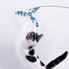 PET 고양이 낚시대 360도 회전 깃털 카샤카샤 사냥