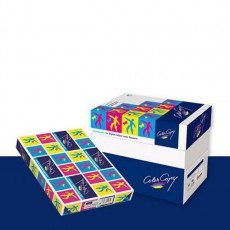 칼라전용 복사용지 복사지 백색 300g A3 625매