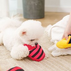 PET 강아지 소리나는 장난감 슬리퍼 삑삑이