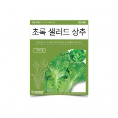 베하몰 텃밭 채소 씨앗 초록 샐러드 상추