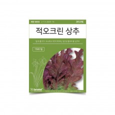 베하몰 텃밭 채소 씨앗 적오크린 상추