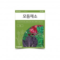 베하몰 텃밭 채소 씨앗 모듬채소