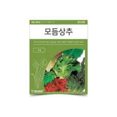 베하몰 텃밭 채소 씨앗 모듬상추