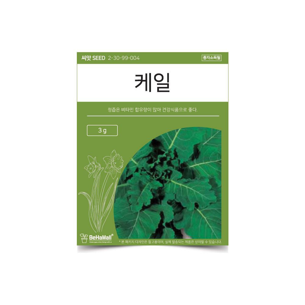 베하몰 텃밭 채소 씨앗 케일