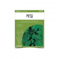 베하몰 텃밭 채소 씨앗 케일