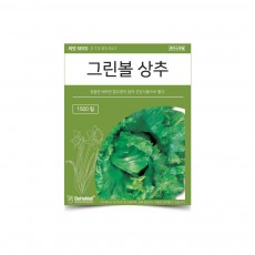 베하몰 텃밭 채소 씨앗 그린볼 상추