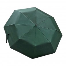 컴팩트 사이즈 가벼운 3단 심플 자동 우산 그린